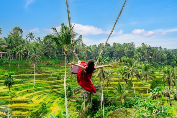Ubud Highlights